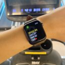 골든힐폼 | 24시간 하안동헬스장 영앤짐 광명하안점 기구종류, 오픈특가 이벤트