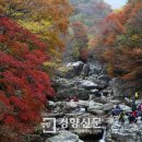 피아골 단풍공원 이미지