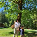 메이플 베이 (maple bay) 이미지