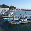 웅천농협주유소 이미지