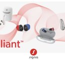 독일보청기 이미지