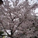 통일로순대국 Daum카페
