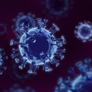 강북의료기 이미지