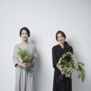 벨로아피오리