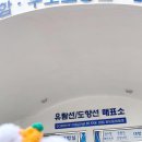 성산이용 - 동구 증산서로 35 | 제주시에서 우도 가는 법, 성산콜 택시 이용 후기(실제 이용 요금)