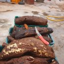 청석골농장 이미지