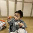 태을 자동차 Daum카페