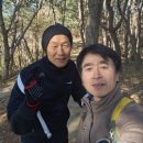 꽃마을로 이미지