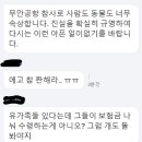 제주항공 참사로 가족 잃은 &#39;푸딩이&#39; 불쌍해 이미지