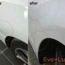 Evo-Luster 이미지