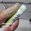 체지방감소 쾌변 가르시니아 다이어트&#34;부광약품 아락핏&#34;후기