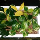 주선목장 이미지