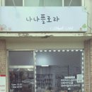 나나플로라 - 포천시 중앙로 126-7 | 나나플로라