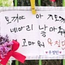 동영유치원 이미지