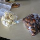 푸르댕댕 이미지