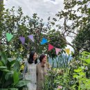 살구나무 한옥민박 이미지