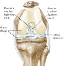 Team Zerobase 이미지