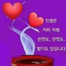 그리우면 이미지