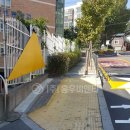 동일중앙초등학교 이미지