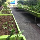 주식회사 부녀회장 | 대형텃밭, 아파트 텃밭, 김장채소, 도시농업, 한국도시농업주식회사, 김양희 회장, 윤항영, 자구 변흥섭