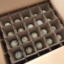 순천청계농장 이미지