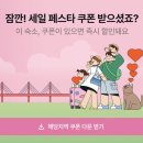 일기일회 | 양양 오션뷰 숙소 추천 일기일회 패밀리 배스룸 후기