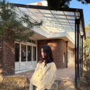 숲 SOUP 이세영 숏 트렌치코트 후기 숲몰 봄자켓 코디 추천