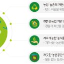 그린-창 이미지