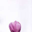 장수서창동-8 이미지