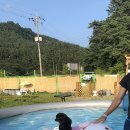 발라당눕스 이미지