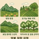 양봉 사업의 시장 전망과 성공 전략, 도시와 농촌을 잇는 미래형 양농(養農) 모델을 가다