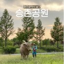 승촌보가게
