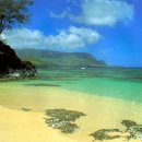 바다그림 이미지