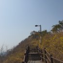 장미그린빌라 | [응봉산] 봄이 오는 소리 응봉산 걷기