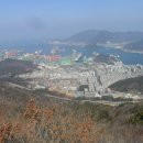 장서육교