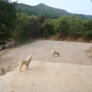 금상첨화 이미지