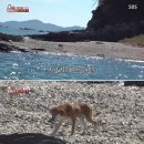 장구섬농장 이미지