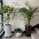 베네치아치과교정과치과의원 이미지