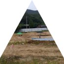 충청도 경상도 전라도 강원도 등 지방 토지 살 때 두 가지 사안을 정독하라