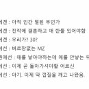 당케마마 이미지