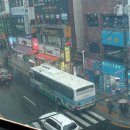 날나리노래연습장 이미지
