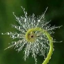 우주전자 이미지