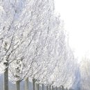 완벽한인생 이미지