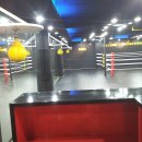 국제체육관 이미지