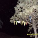 송전목장 이미지