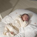 선산대로10-19 | 구미 지산동 남경수산에서 대방어 포장 후기