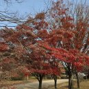 동행시티행정사사무소 이미지