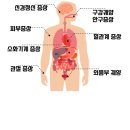 성모류마내과의원 이미지