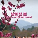 남이섬(추가) 이미지