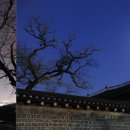 역사문화전문가 코스 이미지